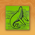 Humpback Whale